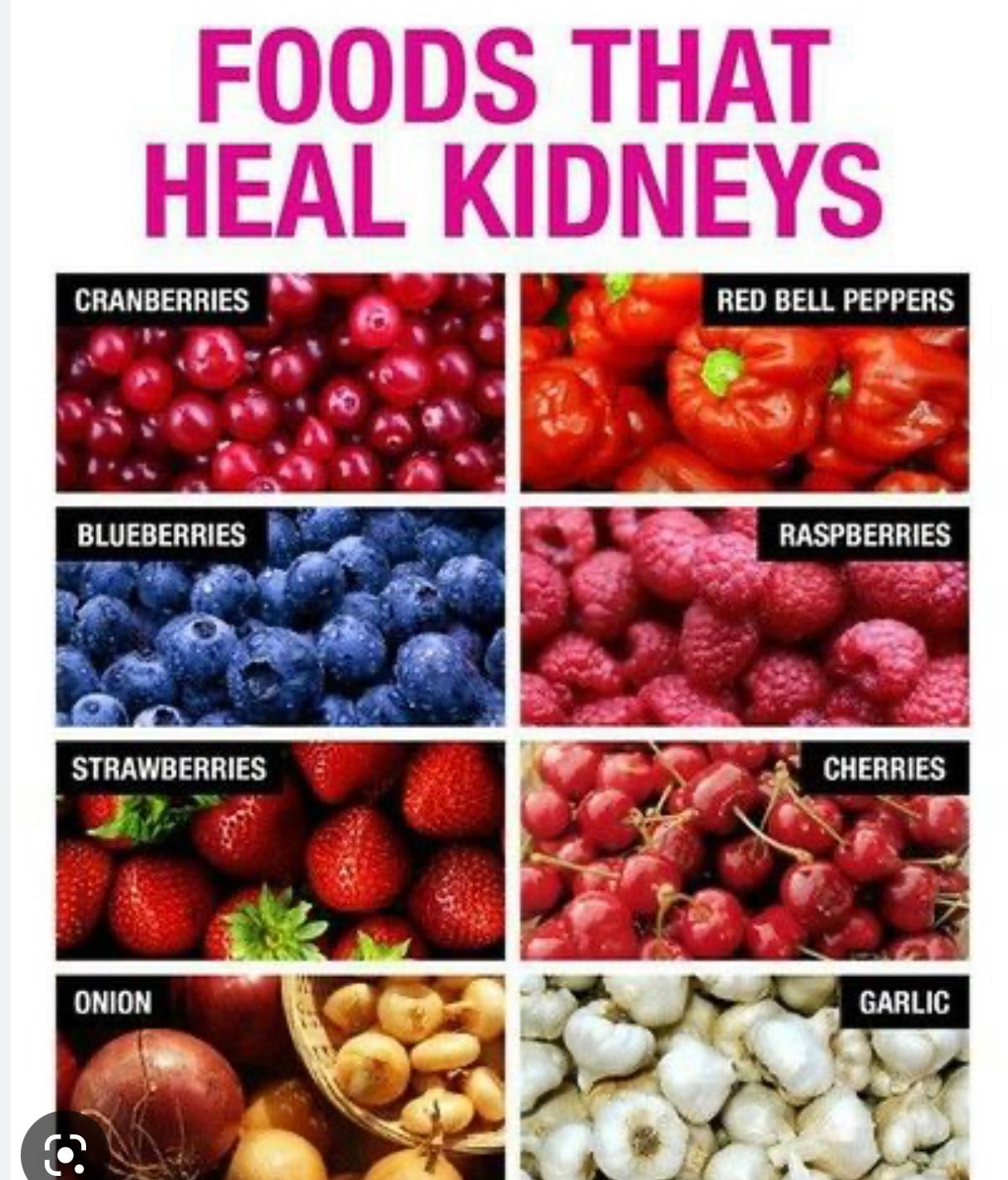 Advanced Kidney Support