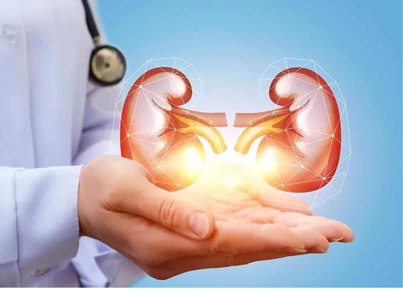 Advanced Kidney Support