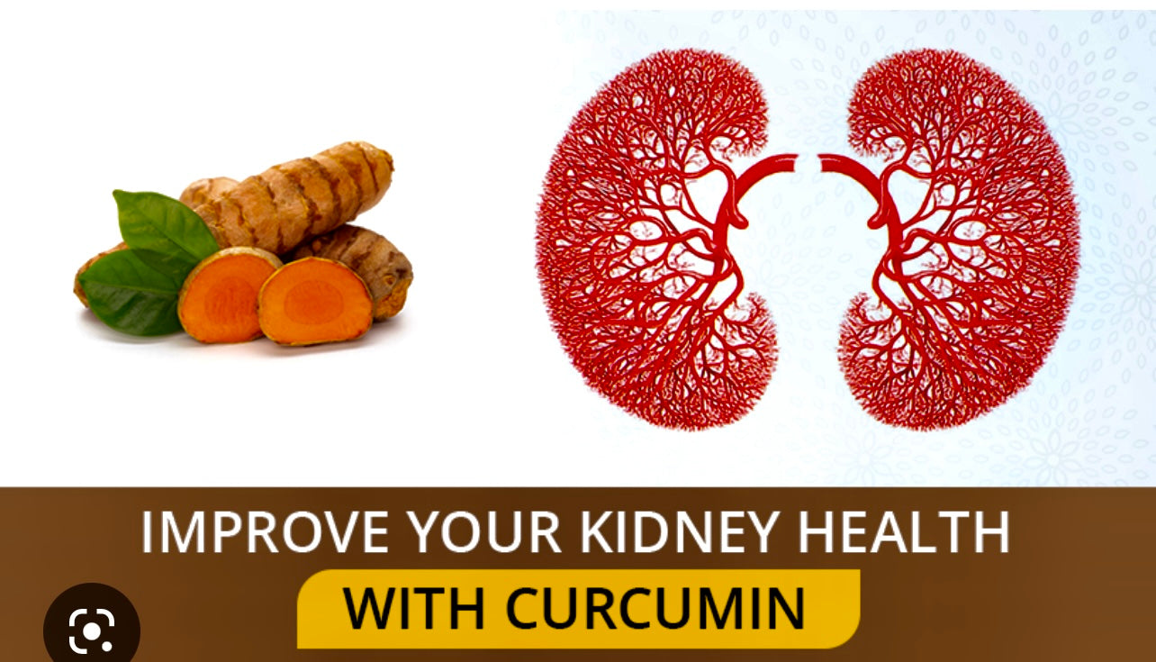 Advanced Kidney Support