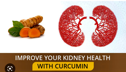 Advanced Kidney Support