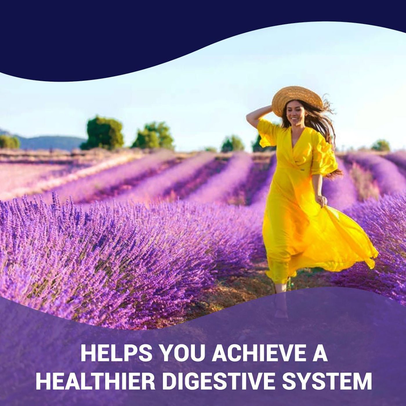 Luma Gut Plus - Probiotics dành cho Nam và Nữ để Chống Axit Dạ dày